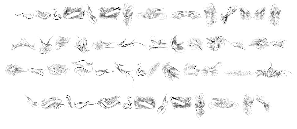 Penmanship Birds 字形 标本
