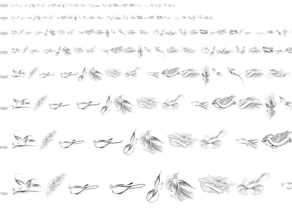 Penmanship Birds 字形 Waterfall
