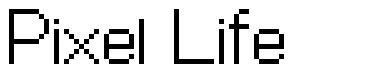 Pixel Life шрифт