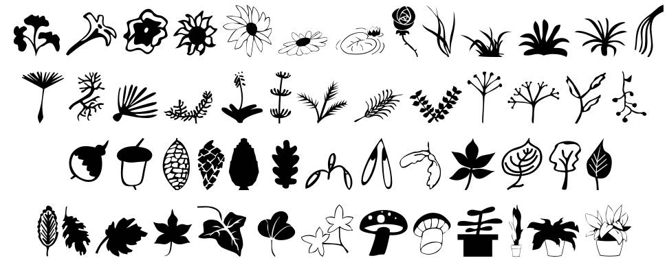 Plants font Specimens