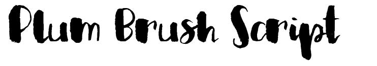 Plum Brush Script font