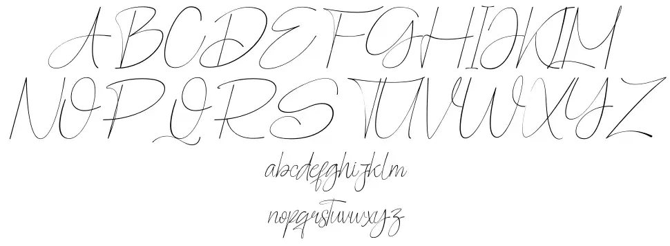 Pographicfont specimens