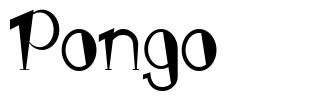 Pongo font