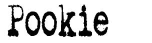 Pookie font