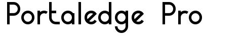 Portaledge Pro