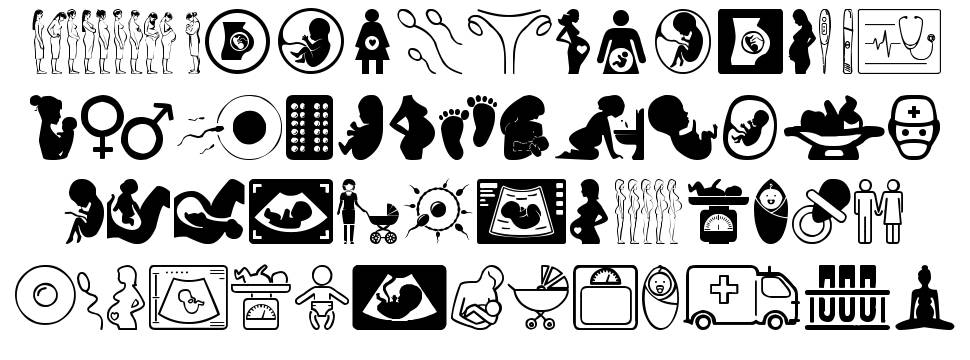 Pregnancy 字形 标本