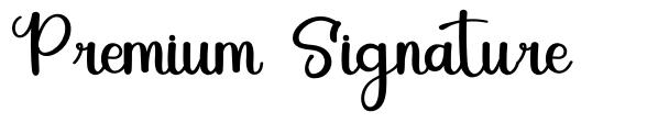 Premium Signature font