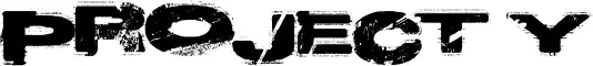 Project Y