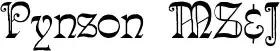 Pynson MS&J