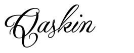Qaskin 字形