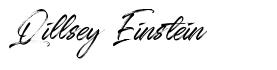 Qillsey Einstein font