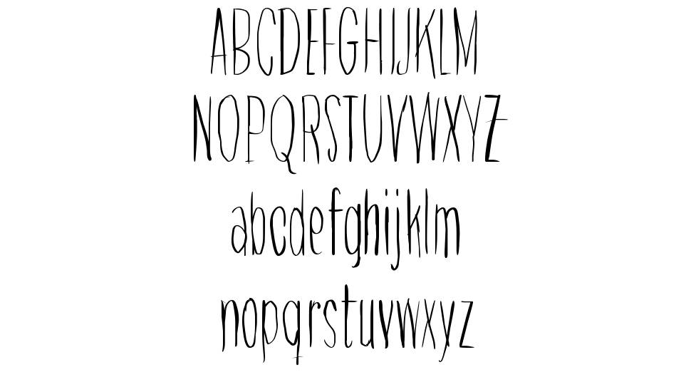 Raccoon font specimens