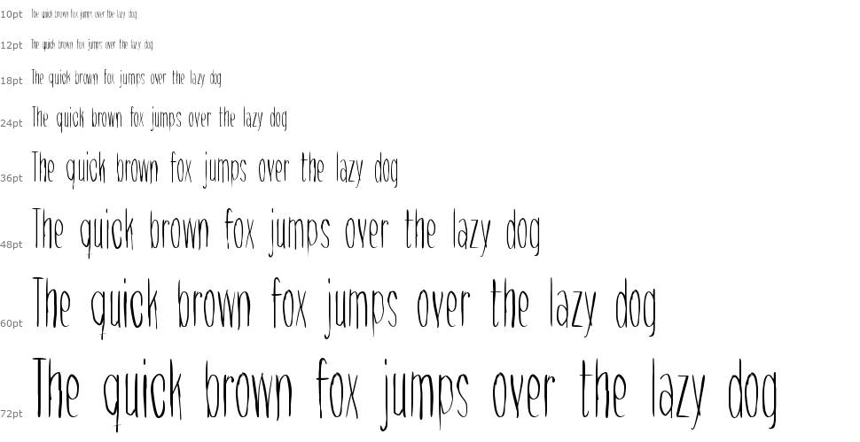 Raccoon font Şelale