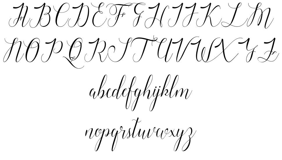 Raffiator 字形 标本