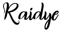 Raidye шрифт