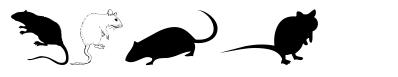 Rats 字形