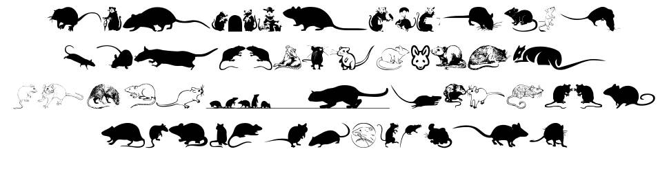Rats font specimens