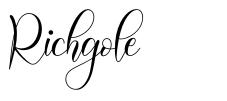 Richgole шрифт
