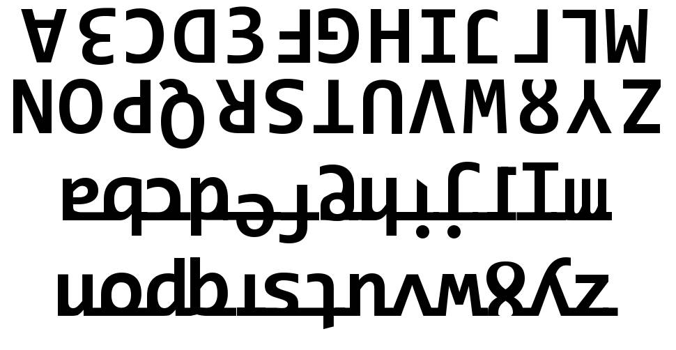 Ridicode font specimens
