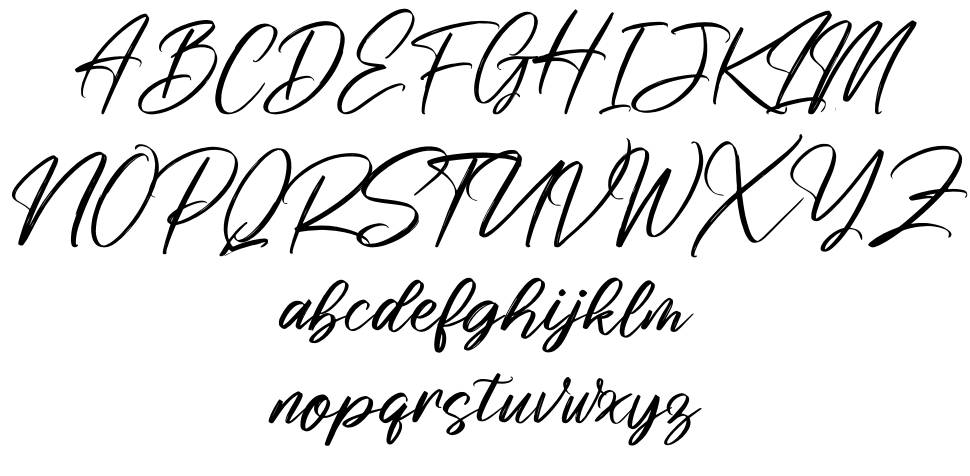 Risess Singature font specimens