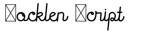 Rocklen Script шрифт
