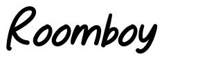 Roomboy font