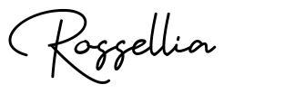 Rossellia шрифт