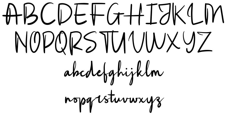 Rotterdam 字形 标本
