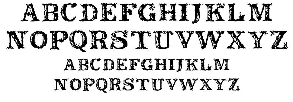 Rustic font specimens