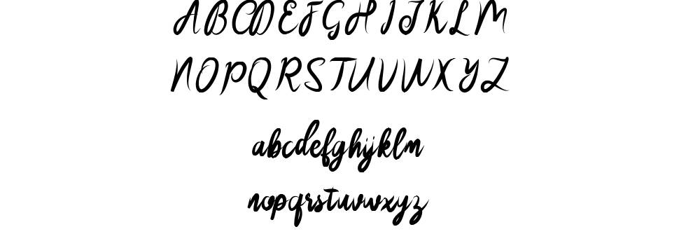 Sakira Script font specimens