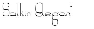 Salkin Elegant шрифт