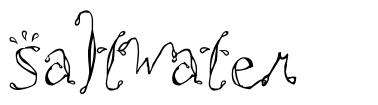 Saltwater 字形