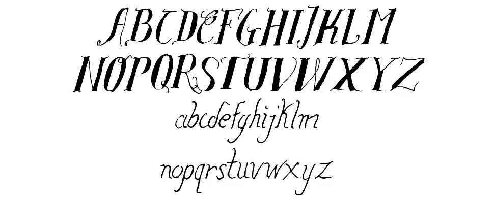 Salvat Studyfont specimens