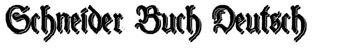 Schneider Buch Deutsch шрифт