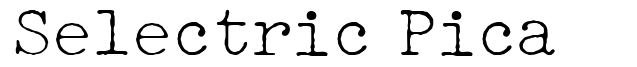 Selectric Pica 字形