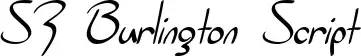 SF Burlington Script