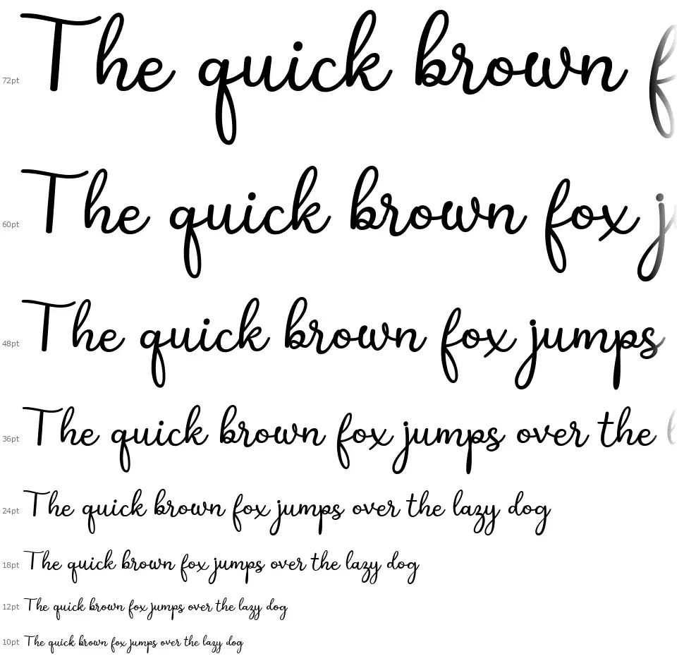 Shakila Script font by Alifinart Studio FontRiver