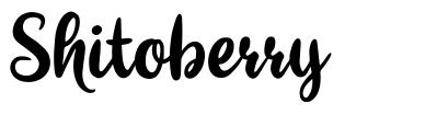 Shitoberry шрифт