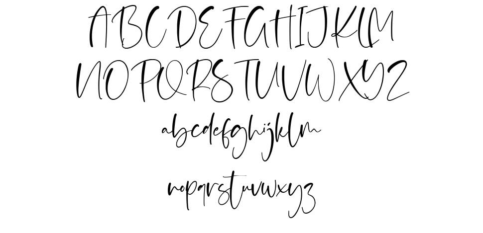 Signatica font specimens