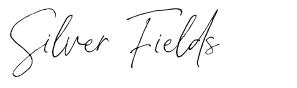 Silver Fields font