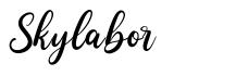 Skylabor font