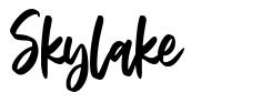 Skylake font