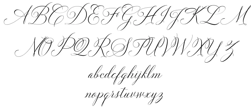 Solidaritha Scriptfont specimens