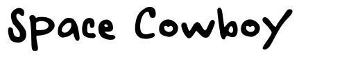 Space Cowboy font
