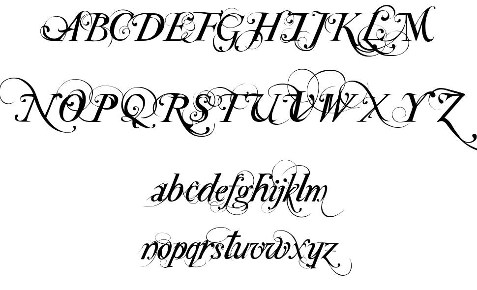 Special Type font specimens