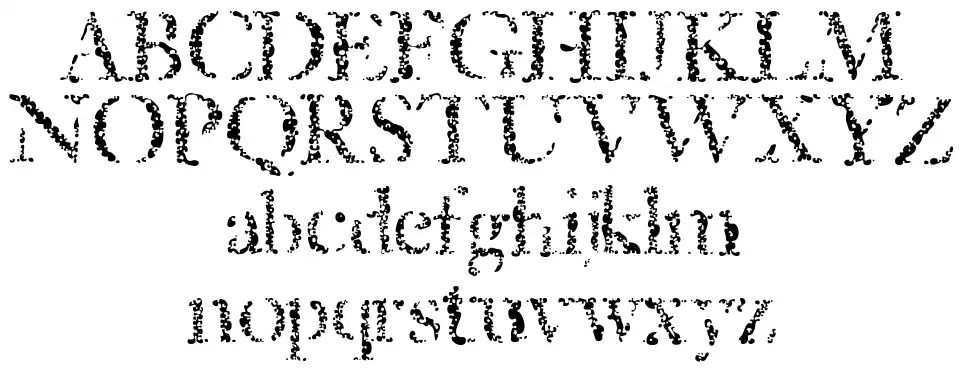 Spongedfont specimens