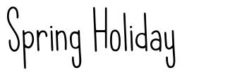 Spring Holiday шрифт