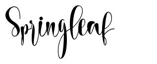 Springleaf font