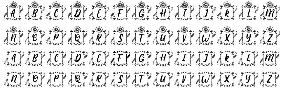 Square Lily Monogram font specimens