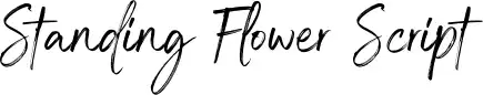 Standing Flower Script font by Din Studio | FontRiver